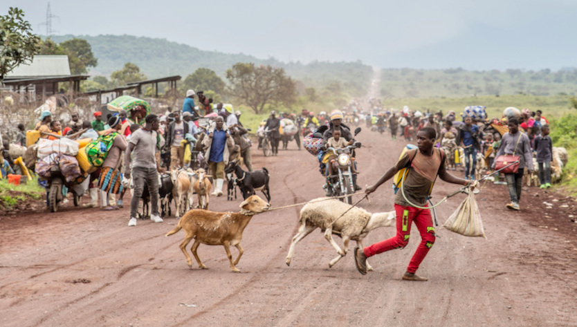 Guerra nell'Est della RD del Congo - febbraio 2025